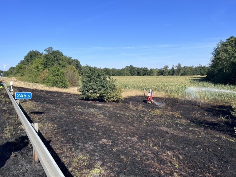 Grünstreifen und angrenzende Vegetation auf Autobahn geraten in Brand